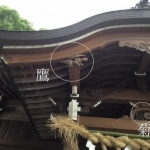 Thumbnail of post image 123