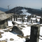 Thumbnail of post image 163